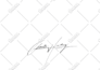 design a professional signature or autograph