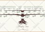 design creative family tree