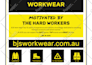 design a professional flyer for your business