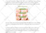 write high quality amazon affiliated articles or blogs