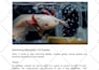 write top notching content about fish, aquariums, and ponds