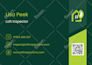design professional business flyers for your marketing needs