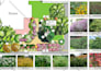create a holistic landscape design for your site
