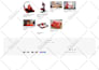 build shopify store design, shopify dropshipping store, shopify website