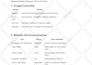 do on page and technical SEO, website audit, google search console indexing
