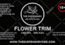vectorize or recreate flyer, brochure, image