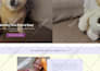 create, setup shopify landing page design, custom shopify product page design