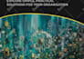 design a business brochure or report