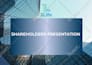 design a professional canva powerpoint presentation expert