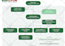 create a stunning org chart for your company