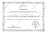 do professional certificate diploma certificate award certificate design