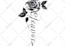 design custom botanical design