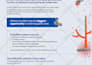 design an attractive brochure for your business