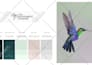 create sophisticated color scheme for anything
