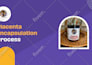 create modern canva, google slides and powerpoint presentation ppt slides design