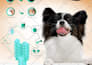 design premium packaging for your brand