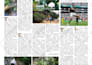 design product catalog, magazine, brochure, flyer