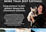 design a great print ad for magazine or newspaper