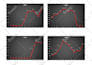 develop bar or pie or line graphs and charts