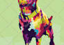 draw a photo of your pet in wpap pop art in less than 1 day