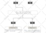 create infographics, flowchart, org chart, process flows, lucid chart, mind maps