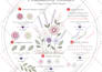create hand drawn embroidery designs for hoops