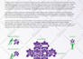 design high quality exclusive catalog folder or brochure