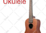 teach you ukulele from scratch