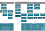 create organization chart, organogram or organization structure