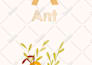design educational custom alphabet flash cards for kids