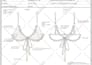 design your swimwear collection and advanced tech packs