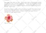do energy spiritual healing for your family hooponopono