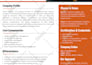 write and design catchy government capability statement