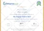 make you six sigma yellow belt certified
