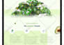 do custom website development, full stack website, front end web developer