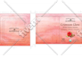 edit resize shampoo, conditioner skincare product label design