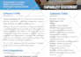 write and design catchy government capability statement