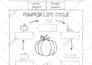design custom worksheets KDP books activity books math worksheets kids worksheet