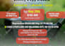 design canva social media templates, instagram posts, ebook, presentation