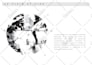do architectural site analysis and conceptual diagrams and case study