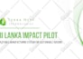 design high impact pitch decks and powerpoint presentations