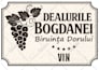 design bottle label and packaging for your product