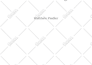 book formatting, amazon KDP paperback or kindle ebook formatting
