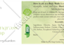 create luxury soap label and packaging design