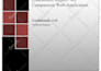 perform web application penetration testing and vulnerability assessment