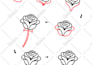 create how to draw step by step learning for KDP, etsy and others