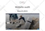 do website usability audit, content review, and UX analysis
