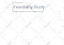 create investor ready feasibility study with financial model