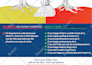 design your premium infographic in 12 hours