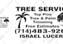 vector tracing, convert image to vector file, vector logo, vectorize image